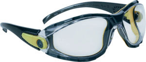 Delta Plus — Lunettes de protection PACAYA