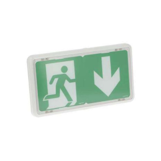 Legrand — BAES EVAC IP43 SATI CONNECTE